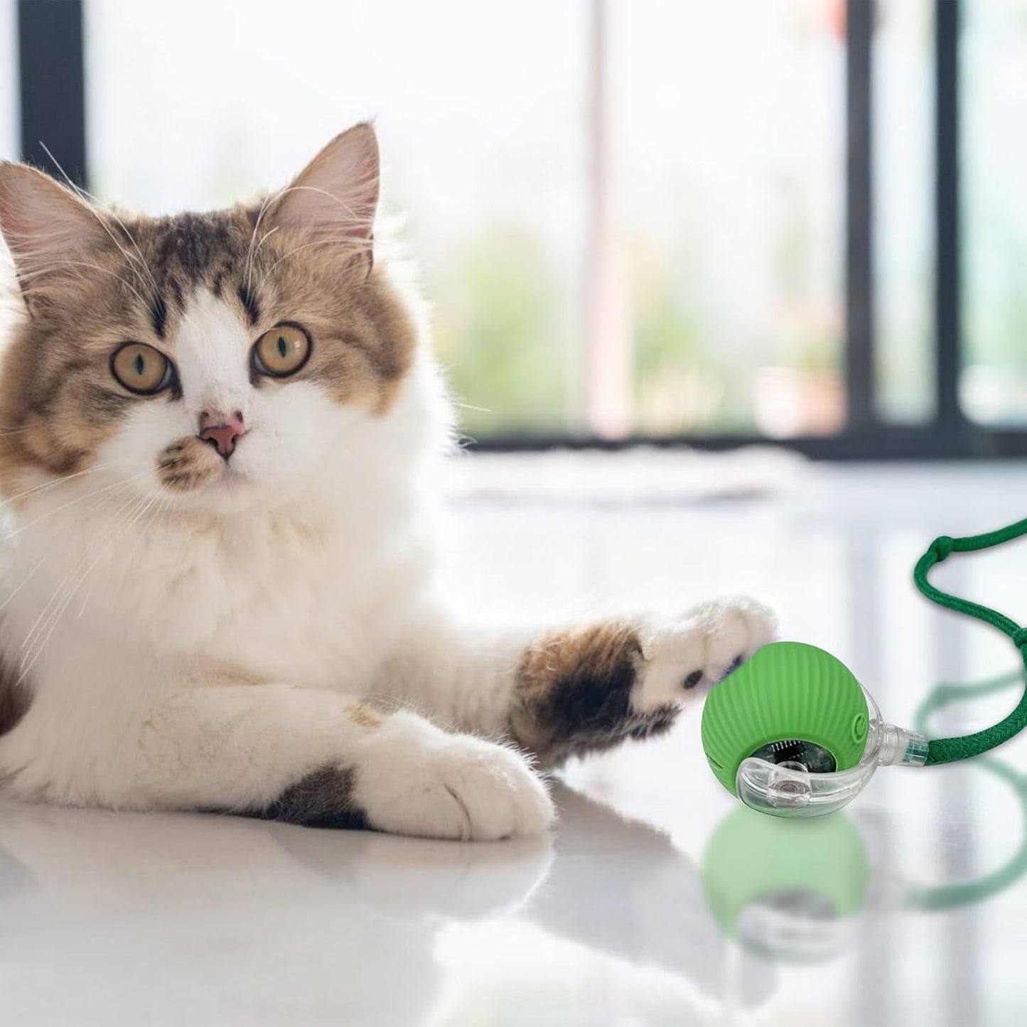 Interaktiv bold til kat – Genopladelig via USB | Sjovt kattelegetøj