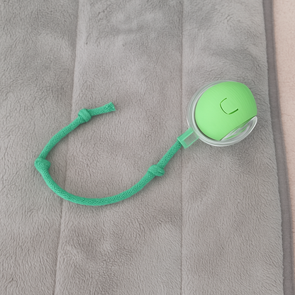 Interaktiv bold til kat – Genopladelig via USB | Sjovt kattelegetøj