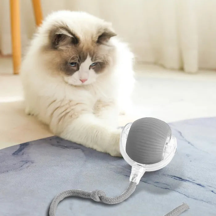 Interaktiv bold til kat – Genopladelig via USB | Sjovt kattelegetøj