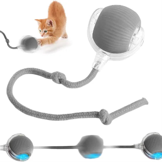 Interaktiv bold til kat – Genopladelig via USB | Sjovt kattelegetøj